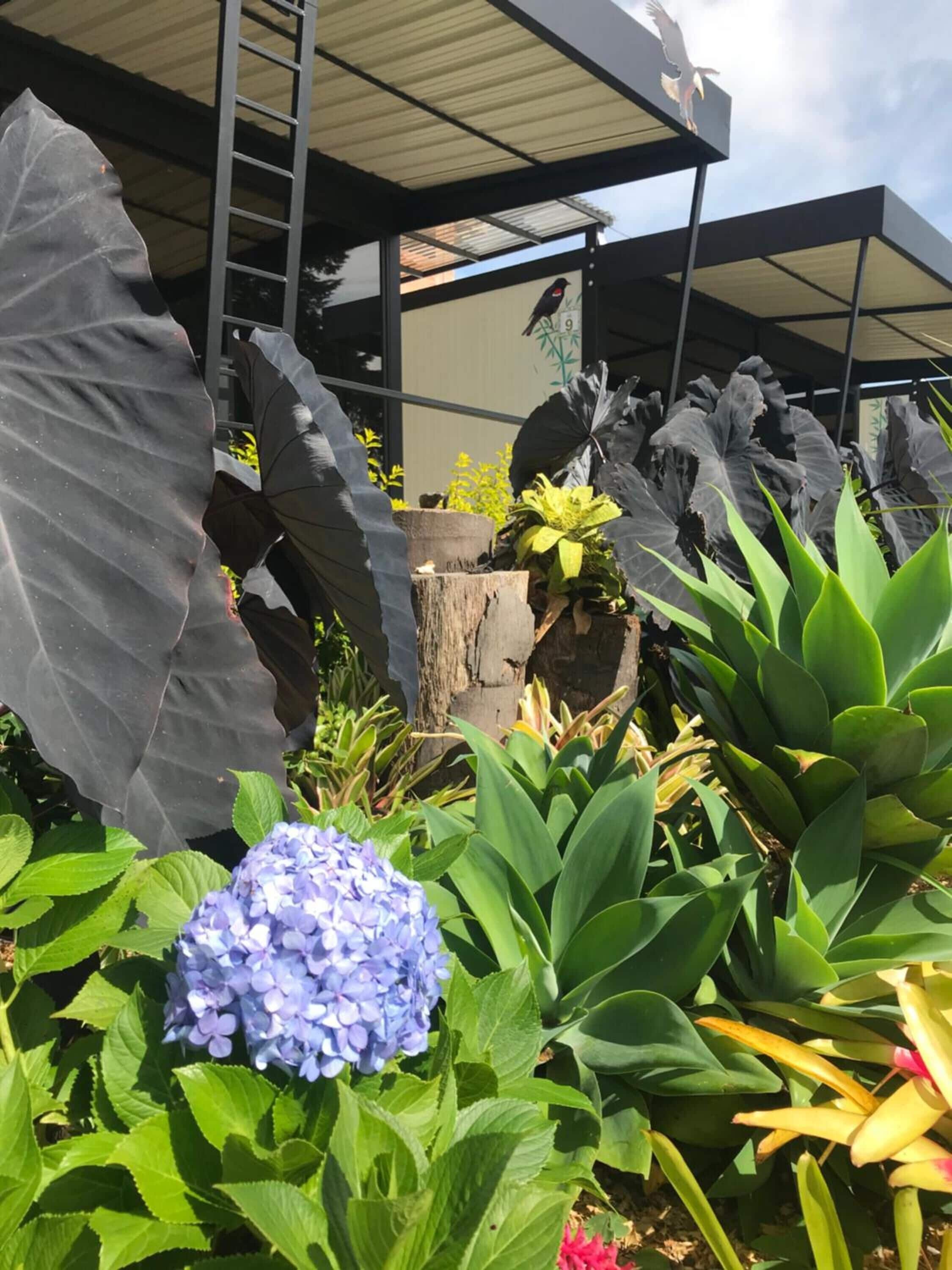 Overnattingsstedets uteområder