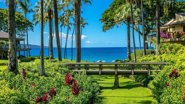 Una località balneare tropicale con vista limpida sull'oceano, palme e un vialetto che conduce a una panchina.