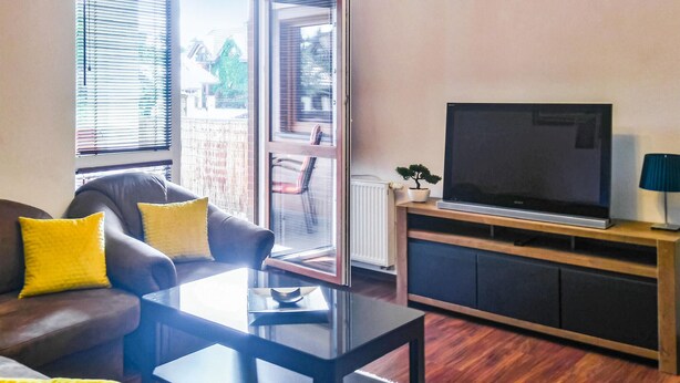 A modern living room with a leather sofa, a glass coffee table, a flat-screen TV on a wooden stand, and a potted plant. - 1 bedroom cozy apartment in Ostroda (Ostroda)