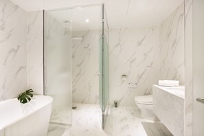 Combined shower/bathtub, free toiletries, hair dryer, bathrobes