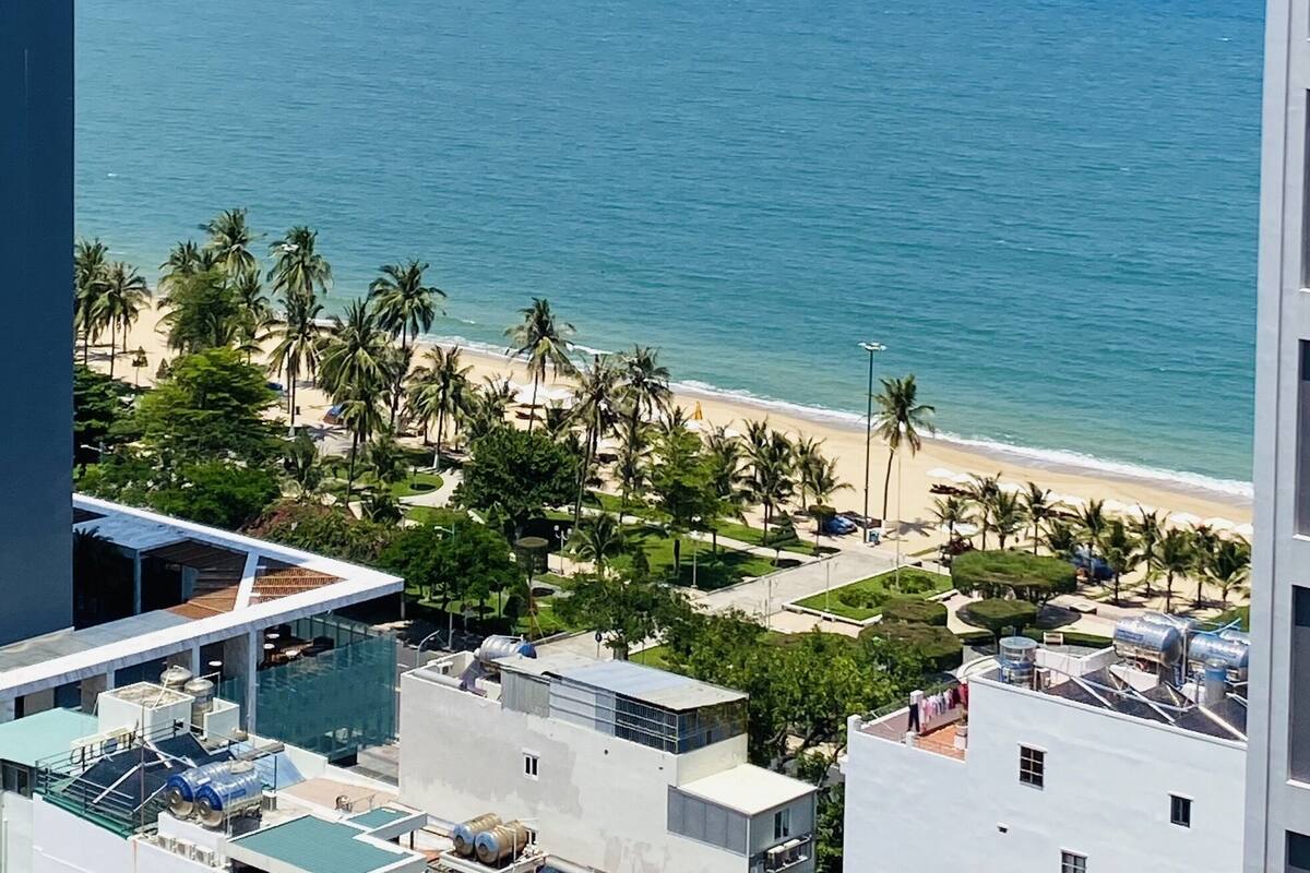 A view of a beach with palm trees and a clear sky.