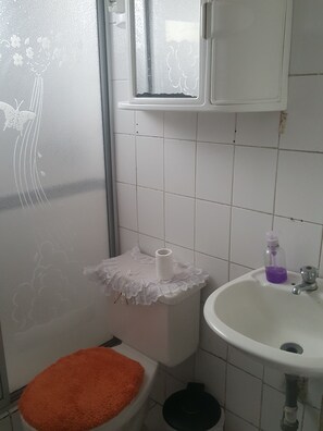 A bathroom with a toilet, a sink, and a window. - Bio Bamboo Bed and Breakfast (Ambato)