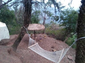 Exterior detail - ETU Adventures Homestay (Bhattiyat)