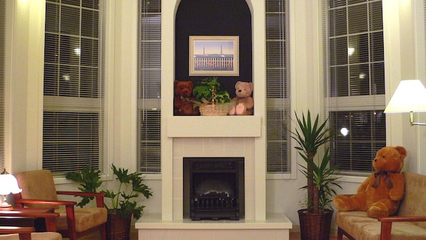 A living room with a fireplace, two potted plants, a chair, a sofa, and a teddy bear.