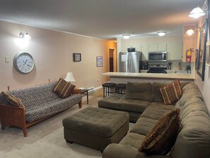 Télévision, cheminée, lecteur de DVD