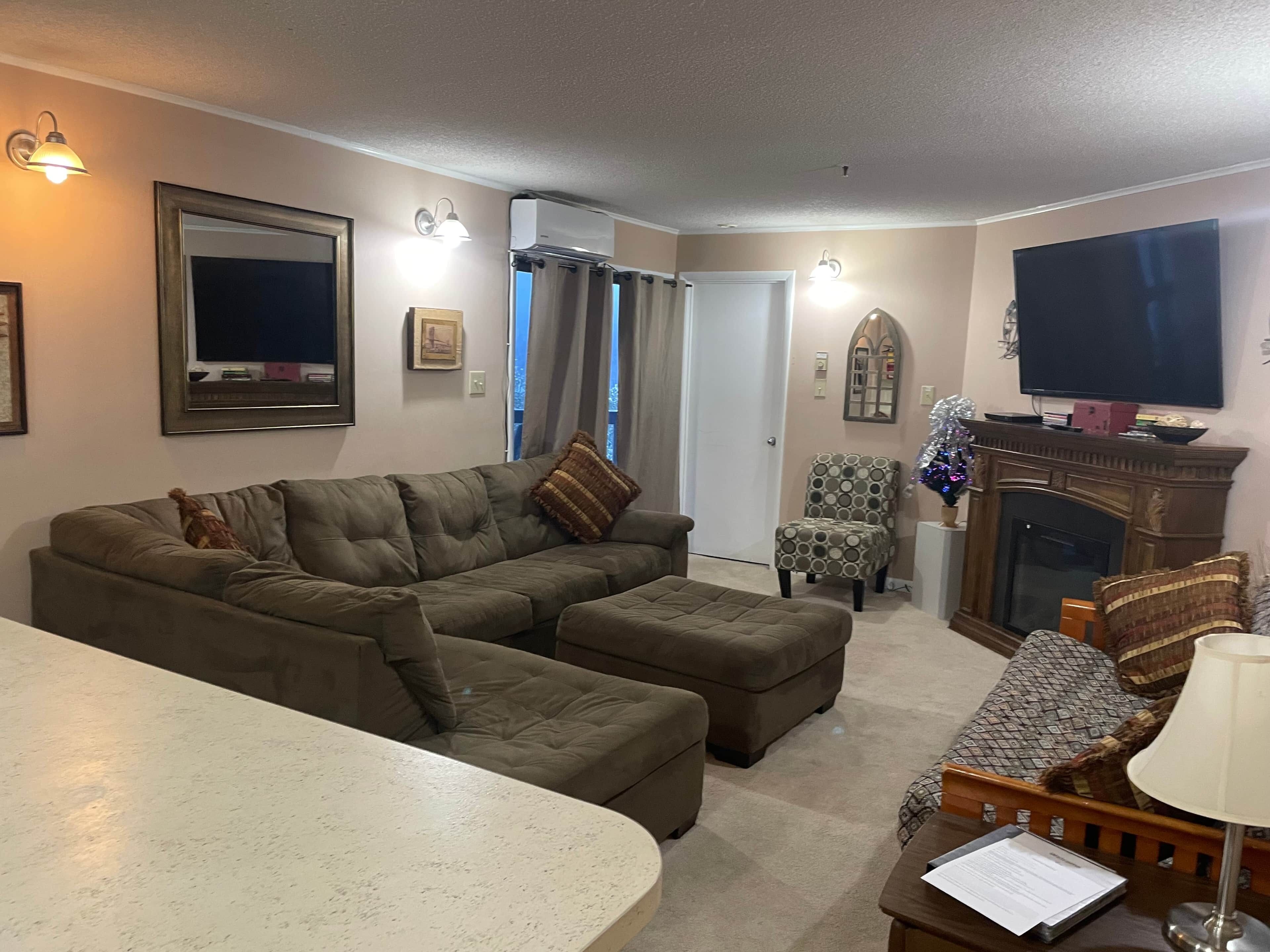 电视、壁炉、DVD 播放器