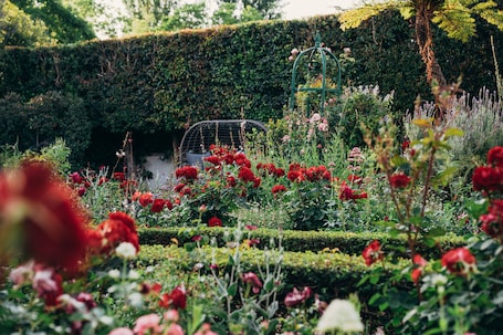 Jardín