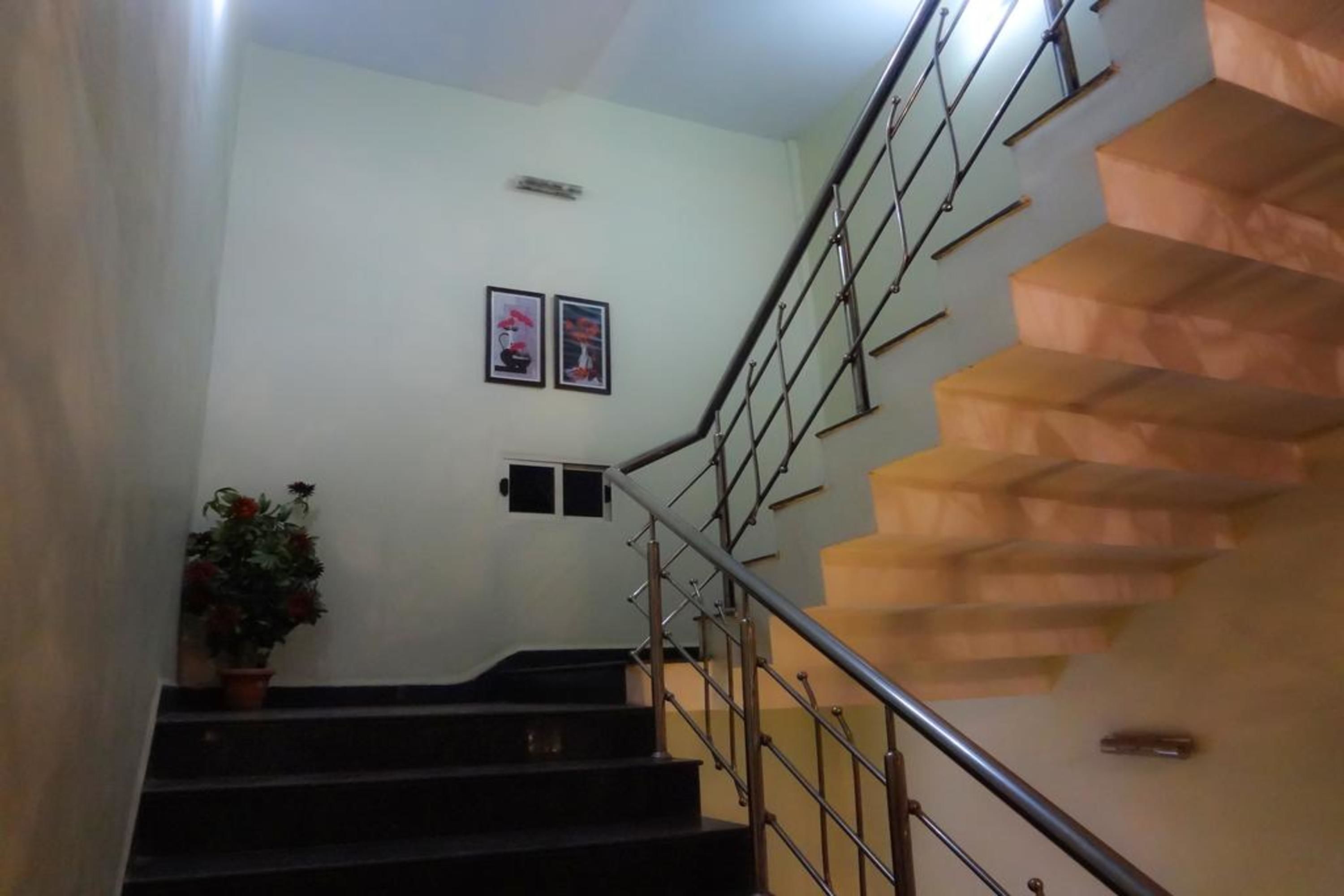 A staircase with metal railings and a potted plant at the bottom.