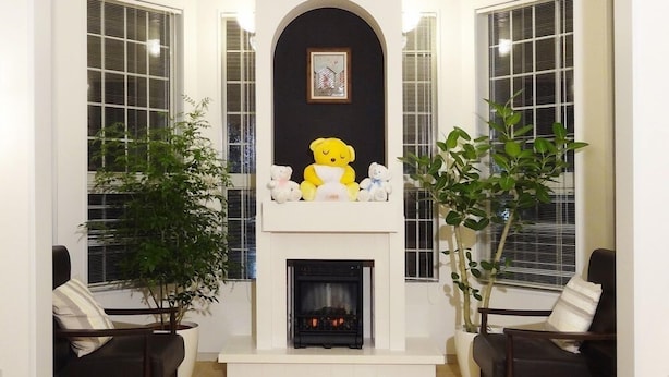 A living room with a fireplace, two sofas, and a large potted plant. - Family Lodge Hatagoya Sakaiminato (Sakaiminato)
