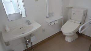 Separate tub and shower, free toiletries, hair dryer, electronic bidet
