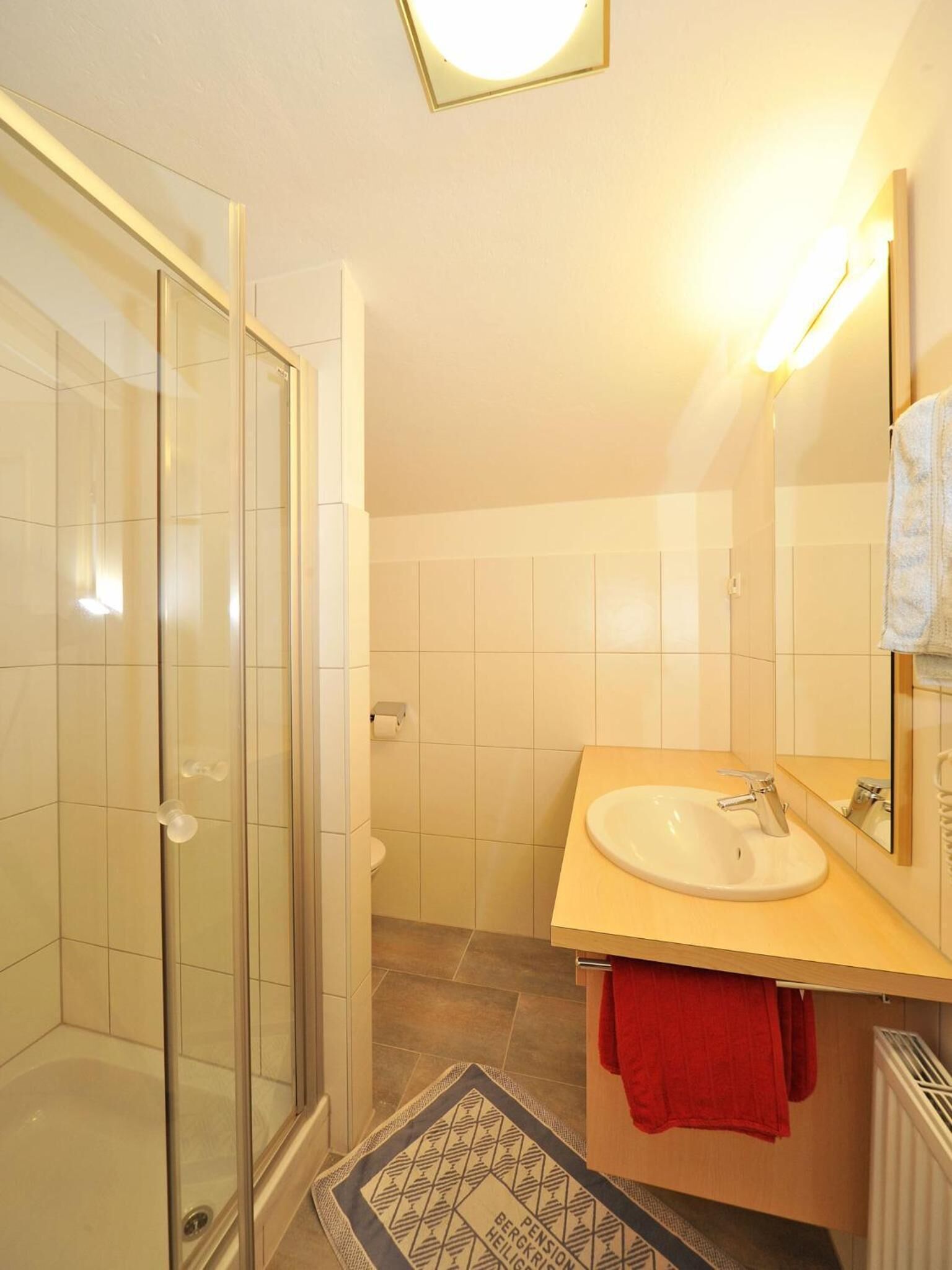 Une salle de bain avec une douche à parois de verre, un lavabo avec un miroir et un porte-serviettes.