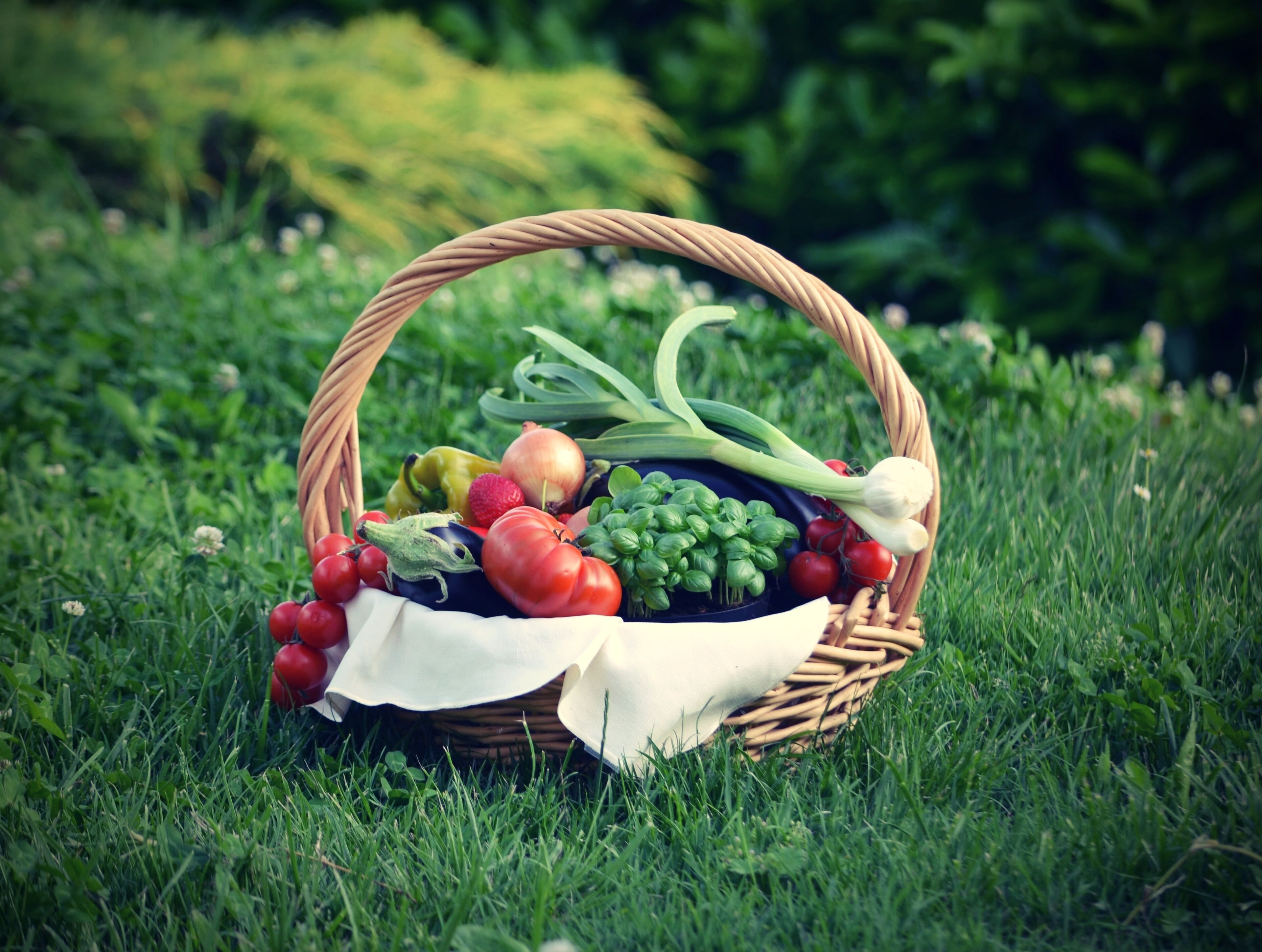 A wicker basket filled with fresh vegetables on a grassy field.