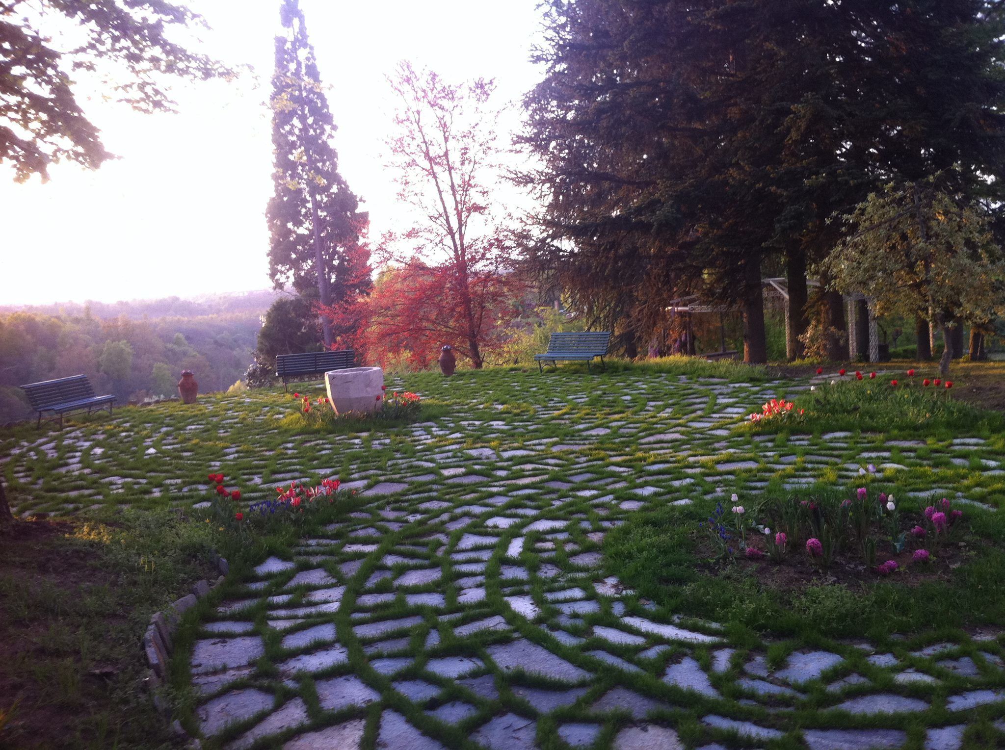 Un parque con senderos de piedra, bancos y árboles.