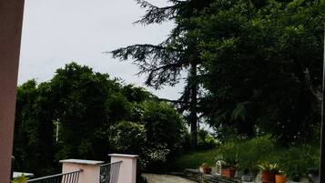 Camera doppia, terrazzo (Disegni) | Terrazza/patio