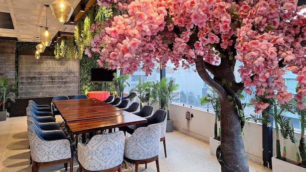 Uma área de refeições com mesa de madeira e cadeiras estampadas, rodeada por plantas em vasos e uma grande árvore com flores cor-de-rosa.