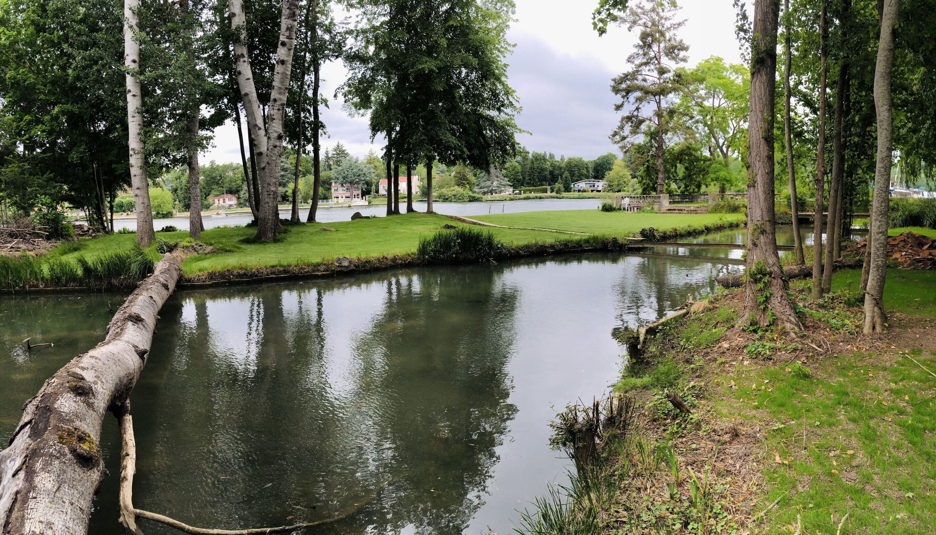 A serene riverside park with a calm water body, lush greenery, and a distant building.