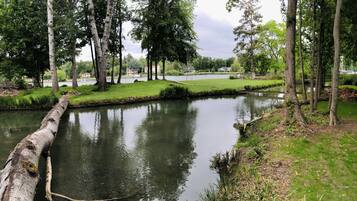 Un parque tranquilo a orillas del río, con aguas serenas, abundante vegetación y un edificio distante.