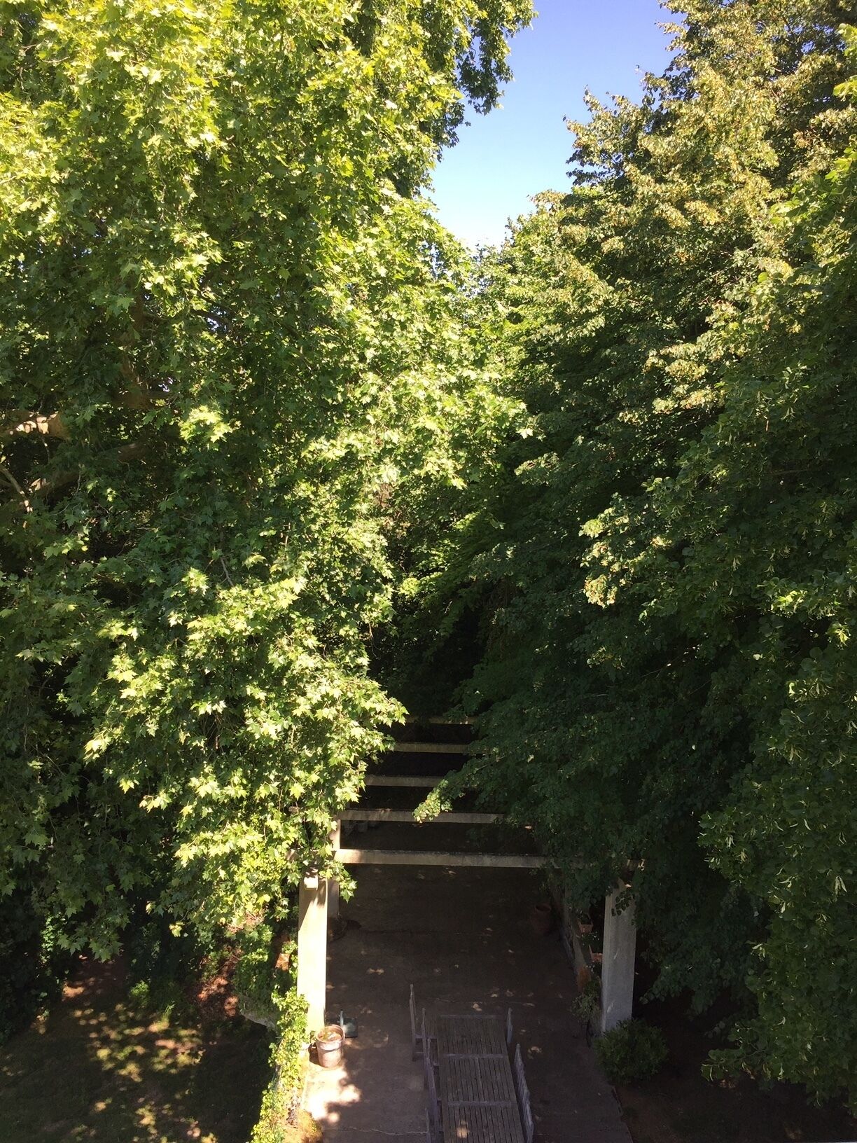 庭園