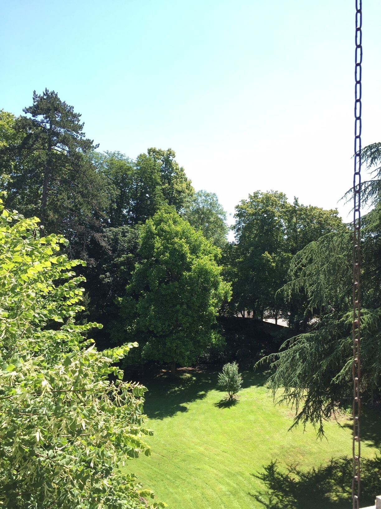 Een verzorgd gazon met diverse bomen en struiken, een heldere lucht en een gaashek.