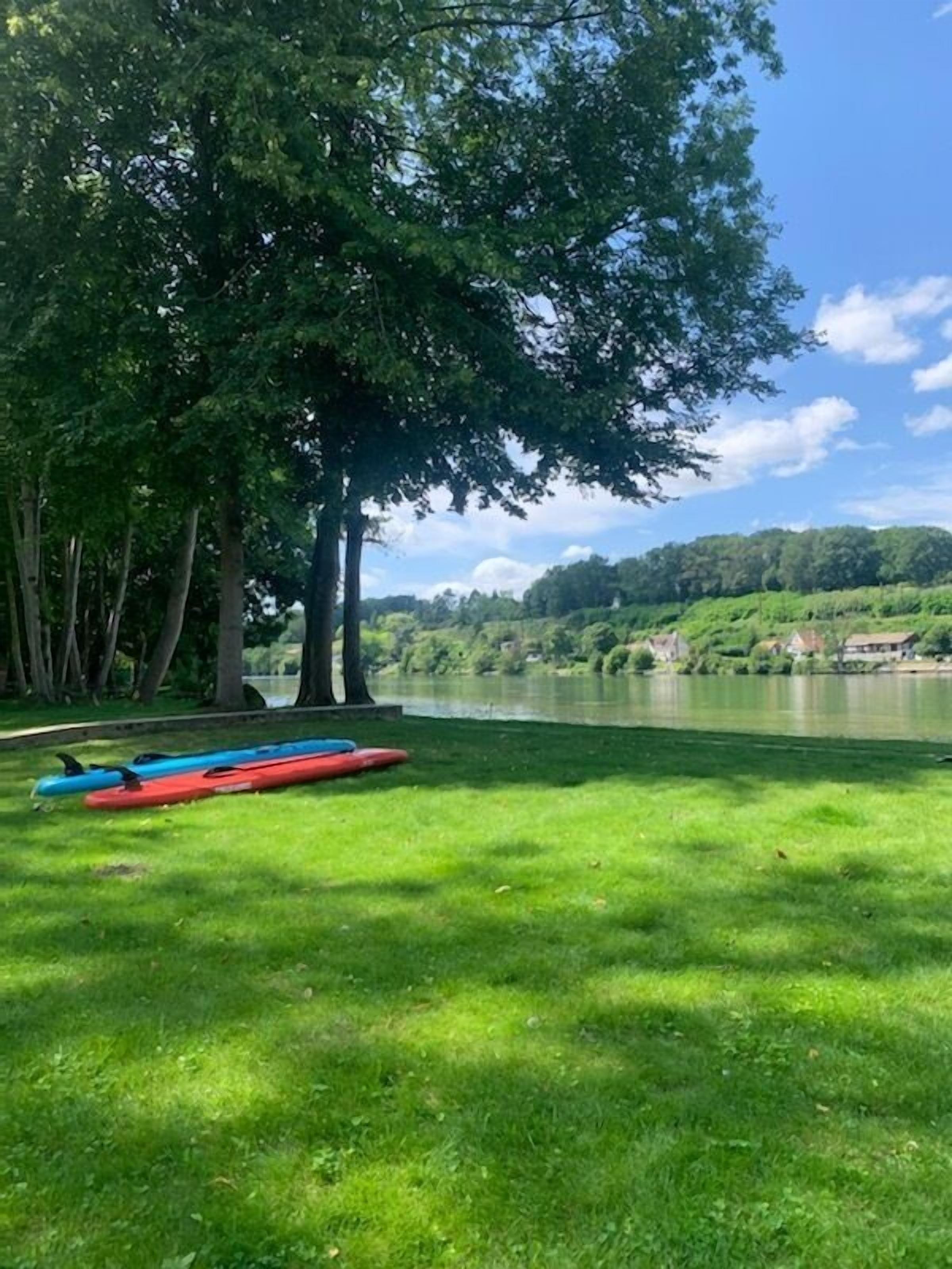 Una zona erbosa con kayak e un albero grande.