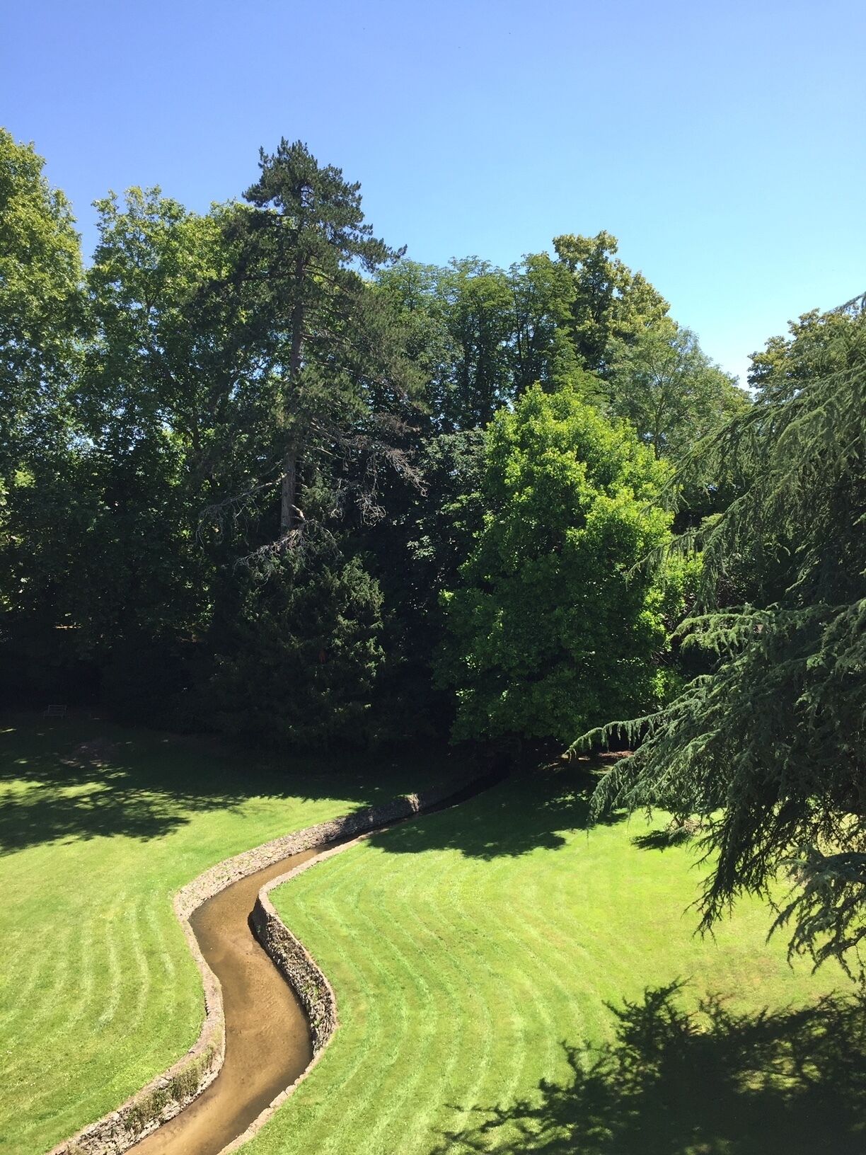Un área verde bien cuidada con un sendero curvo y árboles frondosos al fondo.