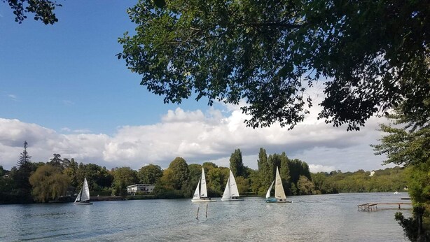 Een rustig meer met zeilboten, omringd door bomen en een heldere lucht.