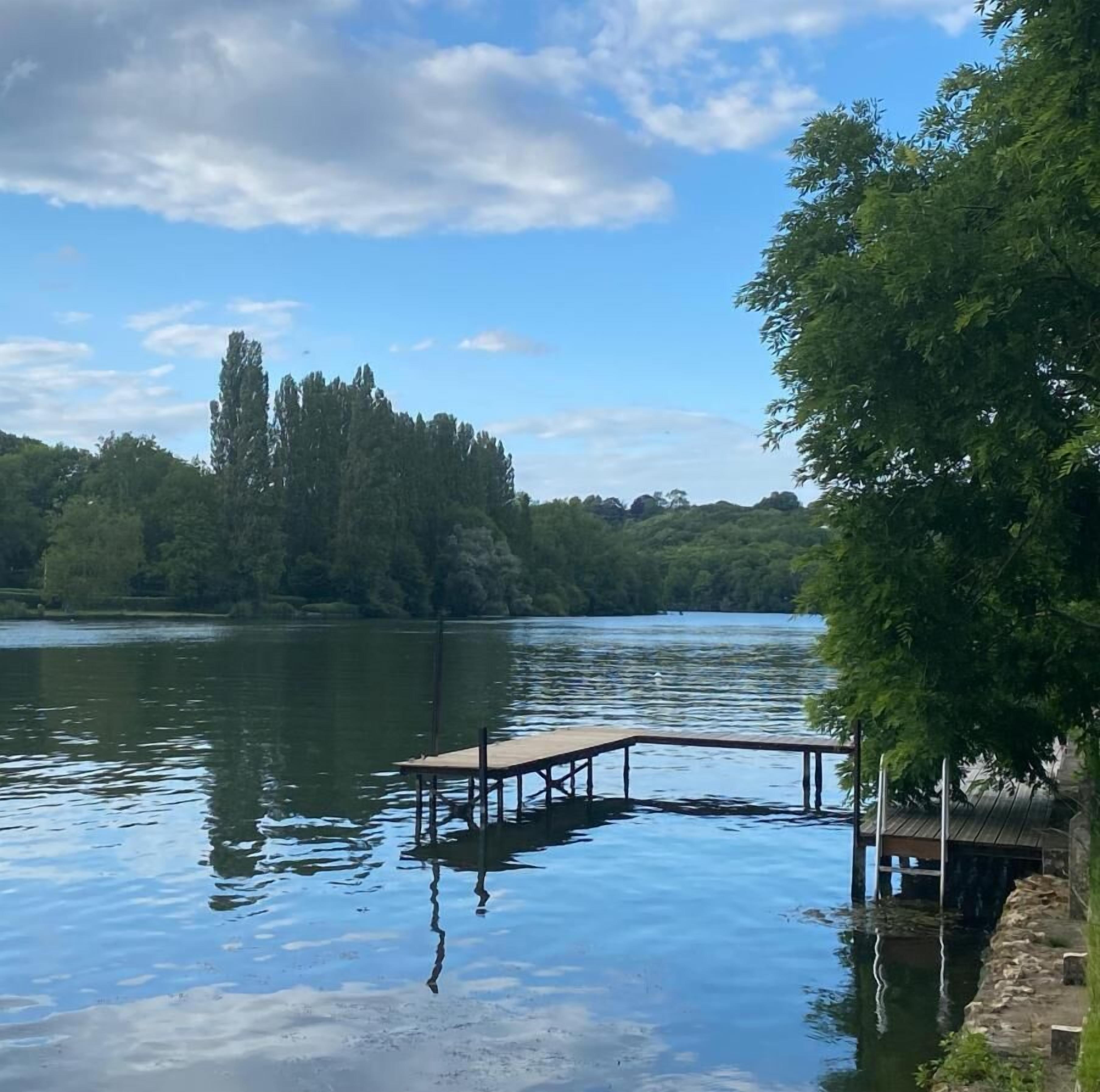 A calm lake with a wooden dock extending into the water, surrounded by dense trees and a clear sky.