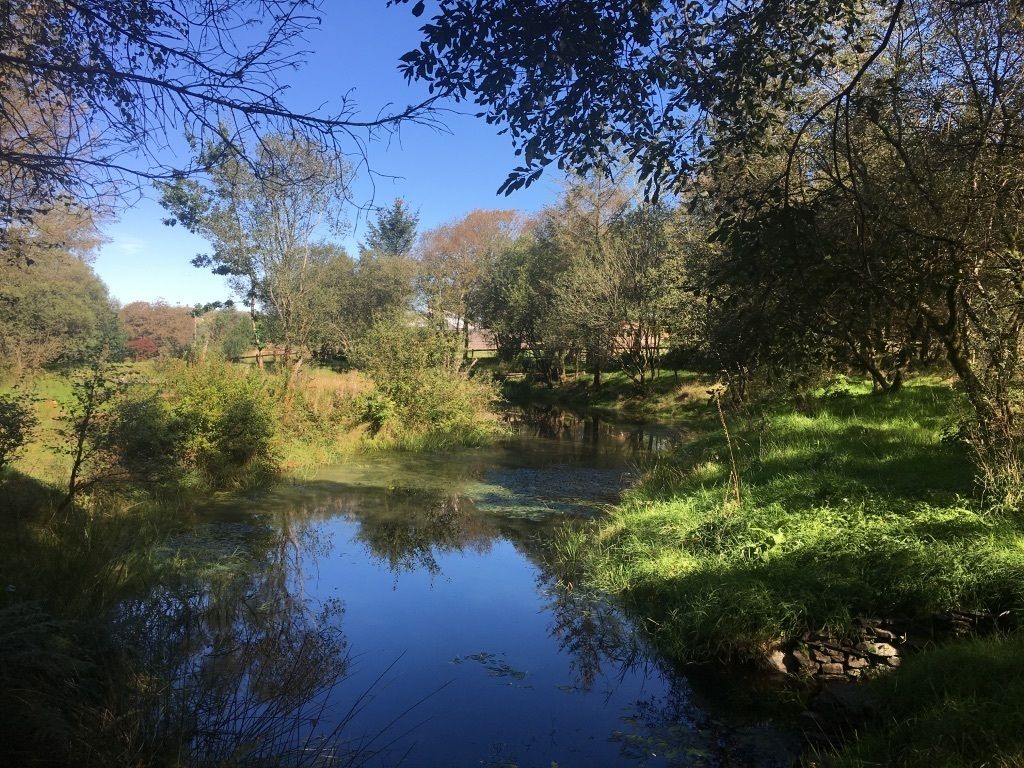 A serene riverside landscape with a calm water body, surrounded by lush greenery and trees.