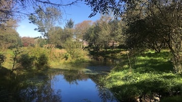 A serene riverside landscape with a calm water body, surrounded by lush greenery and trees.