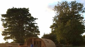 A rustic wooden cabin with a porch, surrounded by tall grass and trees. - Brynllwyd Glamping (Aberystwyth)