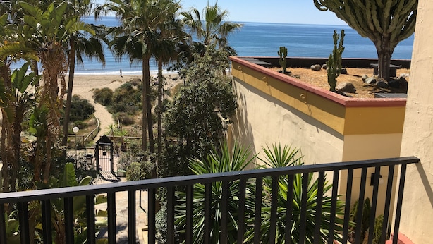 Un balcone con vista su una spiaggia, palme e un cactus.