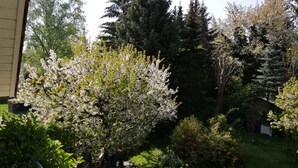 Ein Garten mit verschiedenen Bäumen und Sträuchern, einem Pfad und einem Gebäude im Hintergrund.