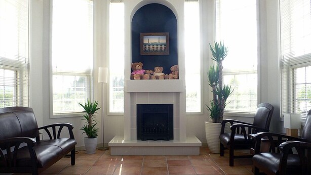 A living room with a fireplace, leather chairs, and potted plants.