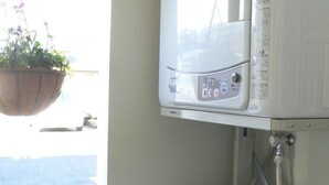 A laundry area with a washing machine and a dryer, a window with a hanging plant, and a ceiling light fixture. - Family Lodge Hatagoya Nirasaki (Nirasaki)