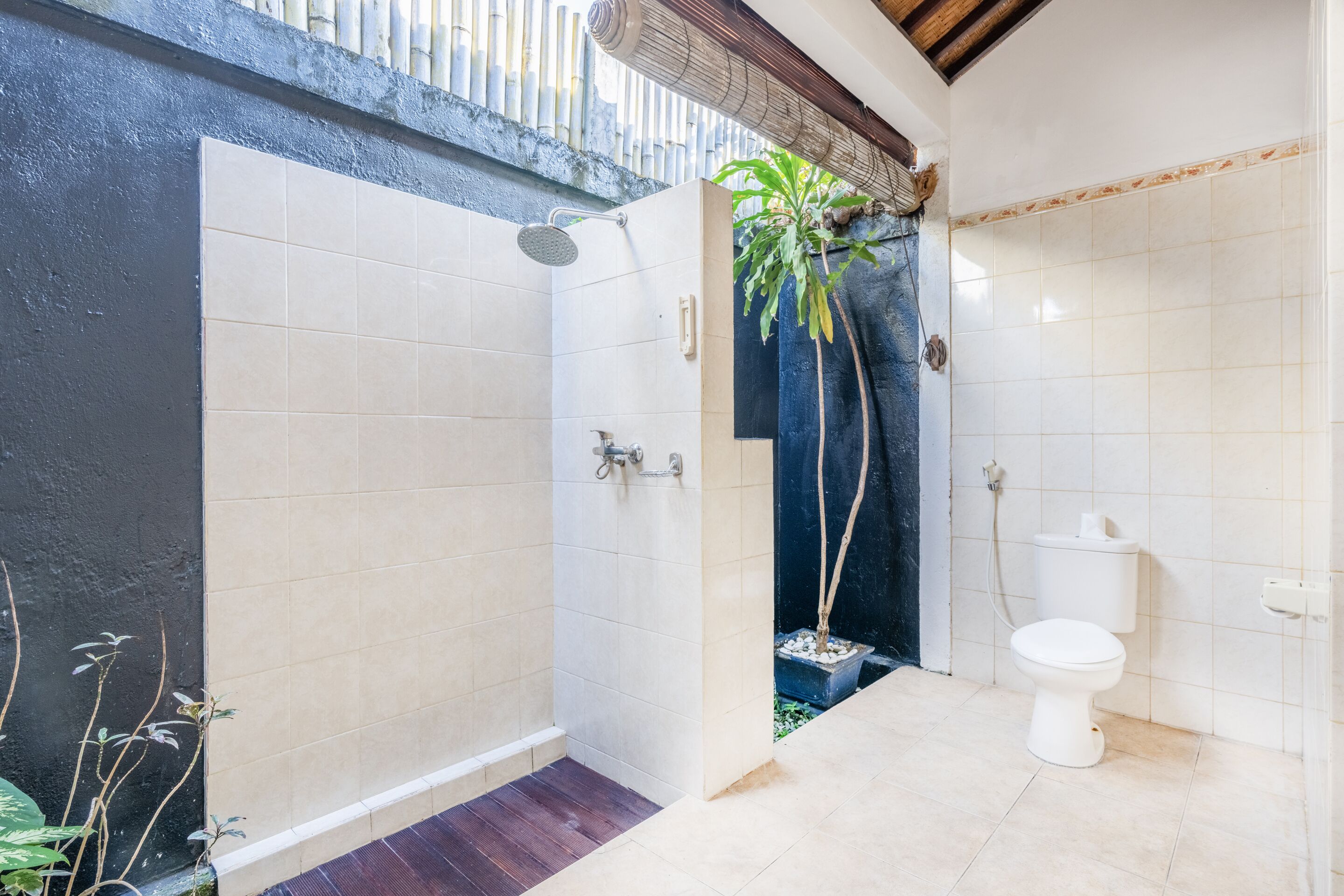 A bathroom with a shower, toilet, and a potted plant.