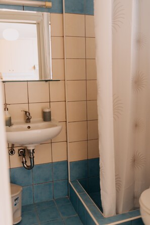 Executive Studio, Balcony, Mountain View | Bathroom | Shower, rainfall showerhead, hair dryer, slippers