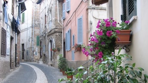 A narrow cobblestone street flanked by buildings with shutters and potted plants. - Villa Garibaldi. Beautiful mountain town in wine area ½ hour from Rome and beach (Cori)