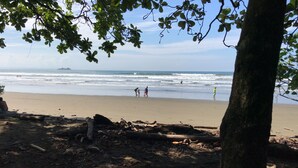 Une plage où des personnes se promènent le long du rivage, avec des arbres au premier plan et l’océan en arrière-plan.