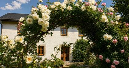 Spacious vacation home with wellness & relaxation