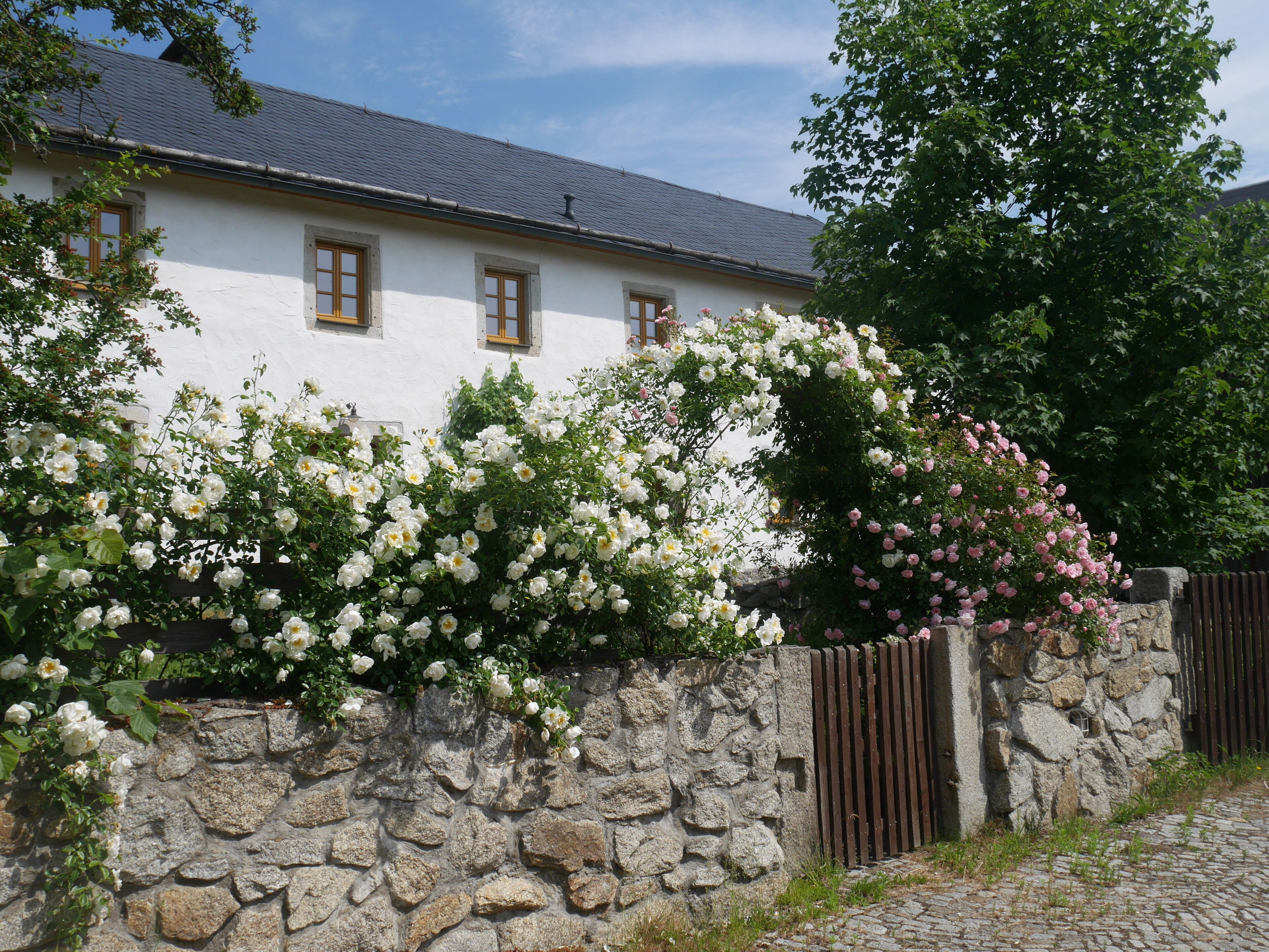 Àrea exterior de l'allotjament