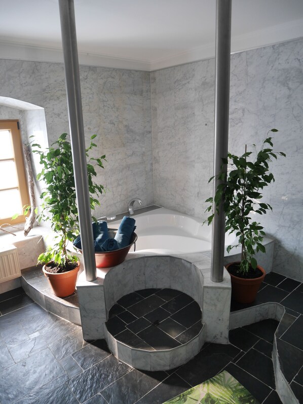 Bathtub, hair dryer, soap, toilet paper
