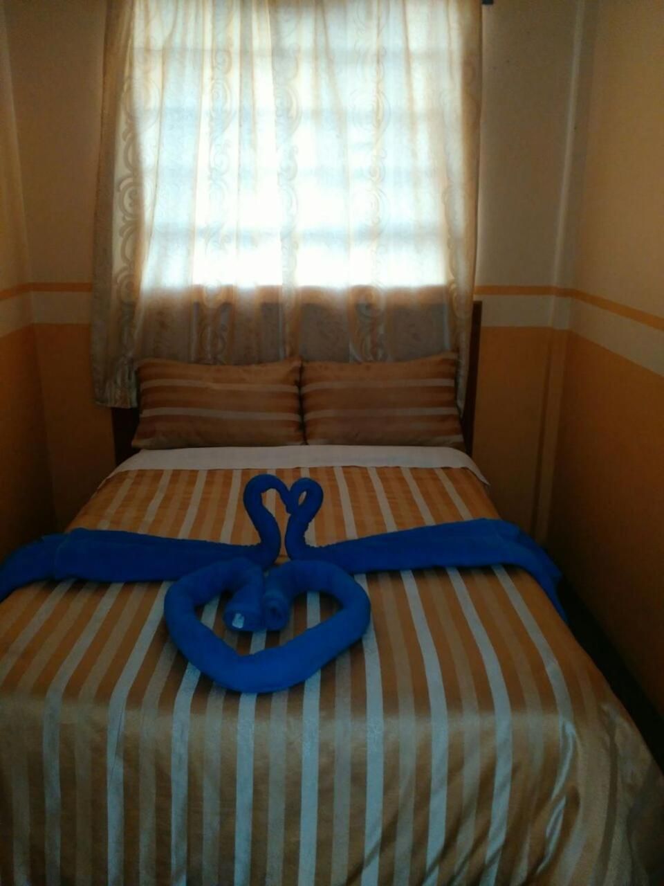 A hotel room with a striped bedspread, a heart-shaped towel, and a window with sheer curtains.