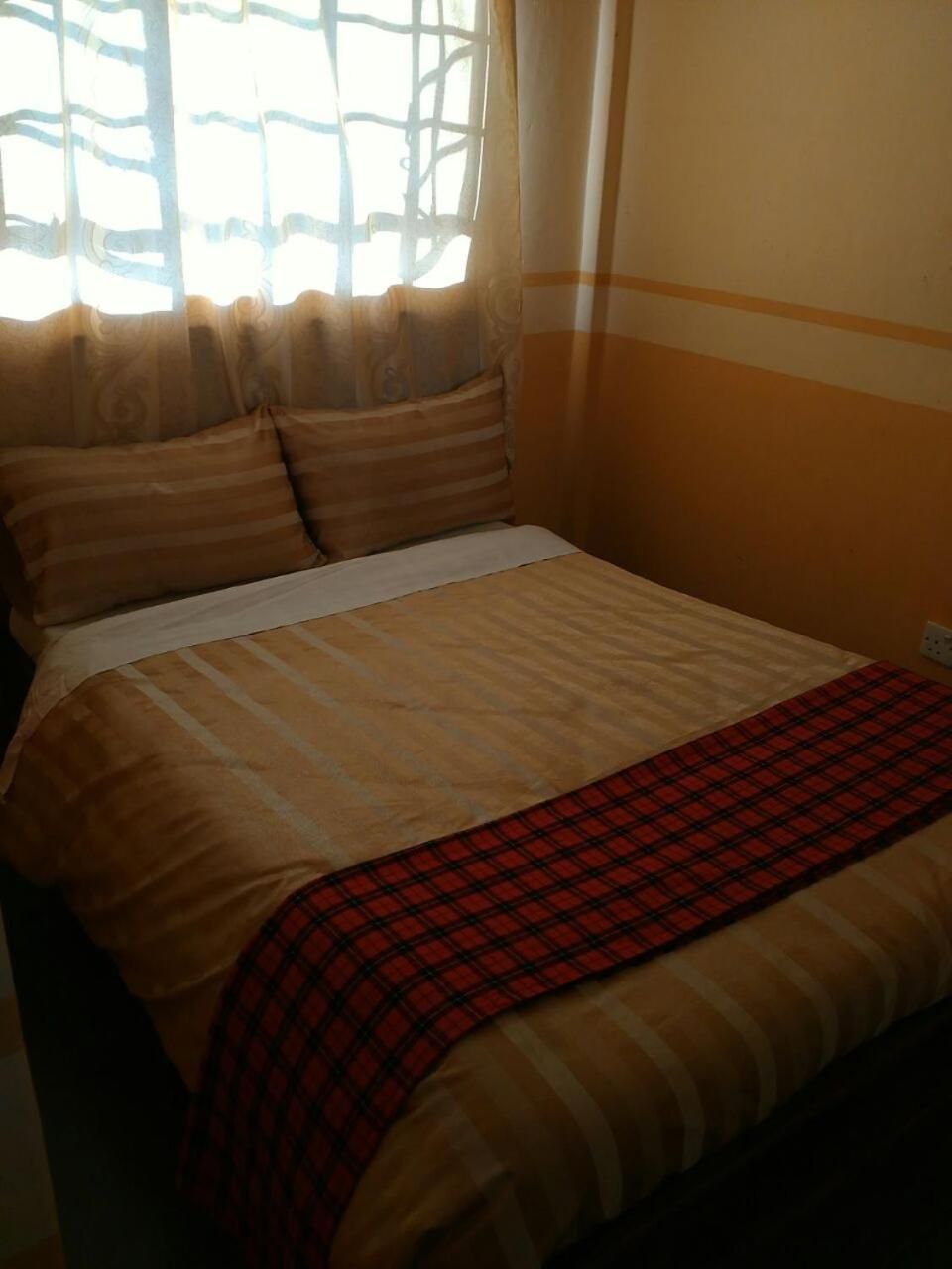 A bed with a striped bedspread and a red plaid blanket, a window with curtains, and a wall with a horizontal stripe.