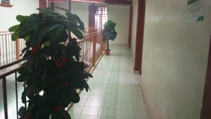 A corridor with tiled flooring, a railing, and potted plants. - Ideal Hotel (Kiriaini)