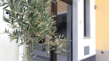 Ingresso della struttura