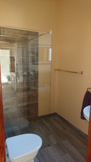 Shower, hair dryer, towels, toilet paper
