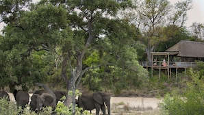 Un lodge de safari con techo de paja y terraza de madera con vistas a la sabana.
