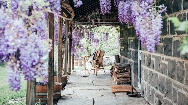A covered outdoor area with a stone wall, wooden benches, and hanging purple flowers. - ELLERSLIE COTTAGE - FOR LOVERS AND DREAMERS (Glenhope)