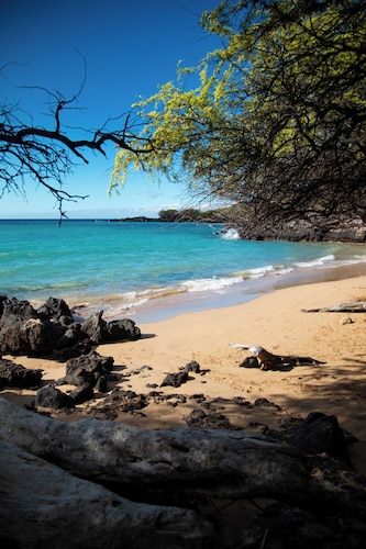 Fairway Villas Retreat – Perfect for Holiday Getaways, Dates Still Available