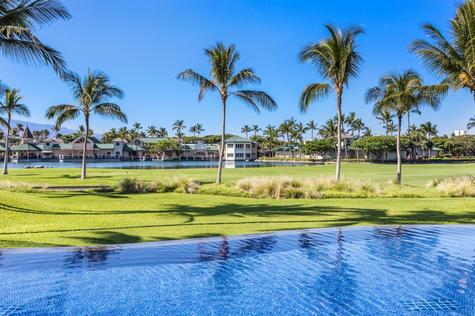 A resort with a swimming pool, palm trees, and a view of a body of water.